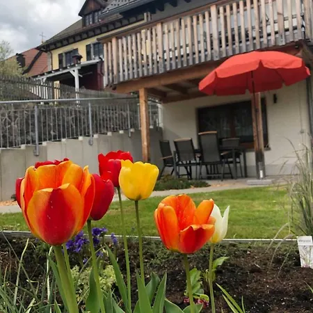 Apartment Ferienhaus Sonneck *